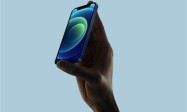 <strong>iPhone mini已死！苹果再无计划推出小屏机</strong>