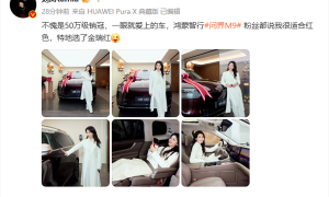 <strong>演员刘涛喜提问界M9 直呼：一眼就爱上的车</strong>