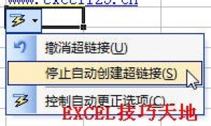 Excel在单元格中输入网络地址时不自动转换为超链接