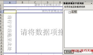 Excel用数据透视表查找某列中出现次数最多的10种数据