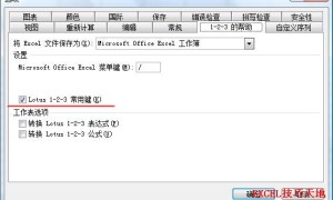 如何临时查看Excel中隐藏行和列中的数据